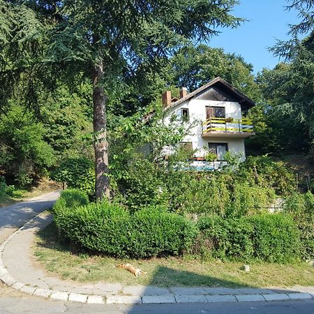 Nena & Rale Rooms Donji Milanovac Exteriér fotografie