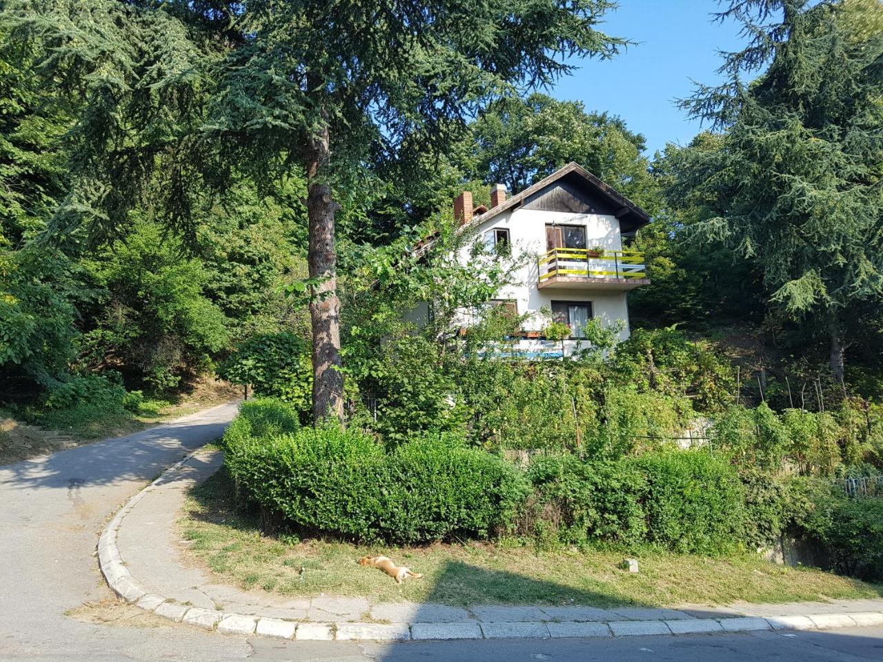Nena & Rale Rooms Donji Milanovac Exteriér fotografie
