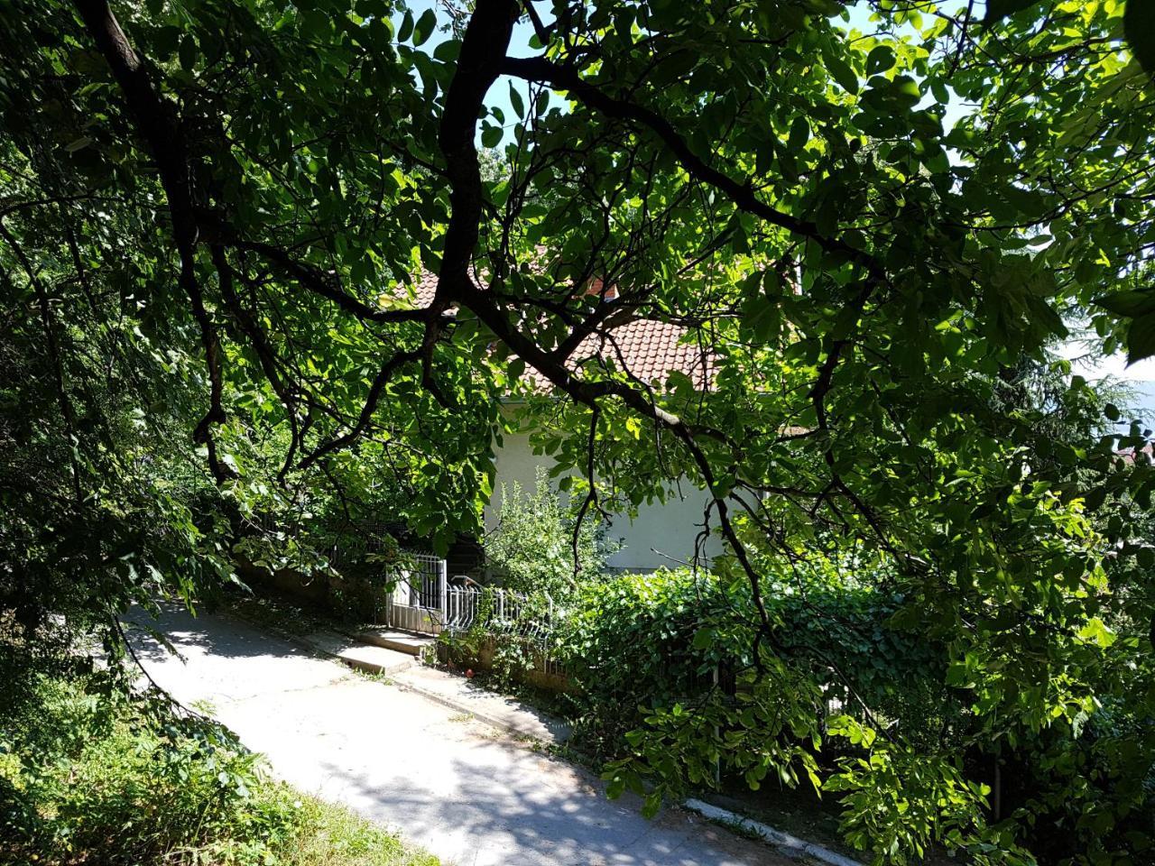 Nena & Rale Rooms Donji Milanovac Exteriér fotografie