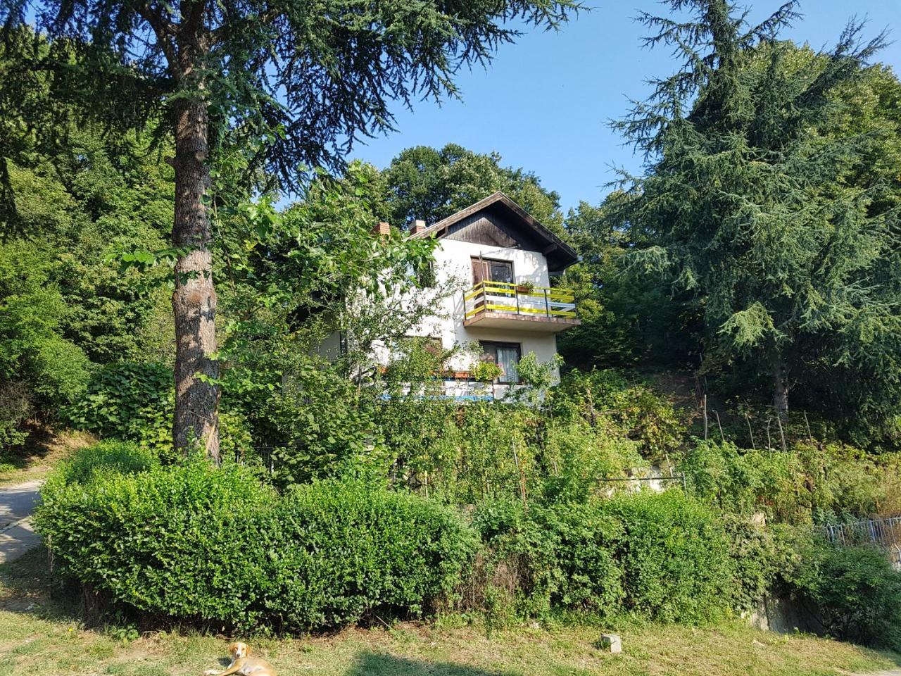 Nena & Rale Rooms Donji Milanovac Exteriér fotografie